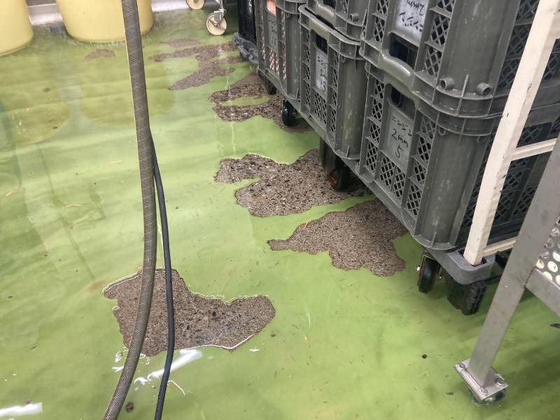 食品加工工場（茨城県鹿沼市）